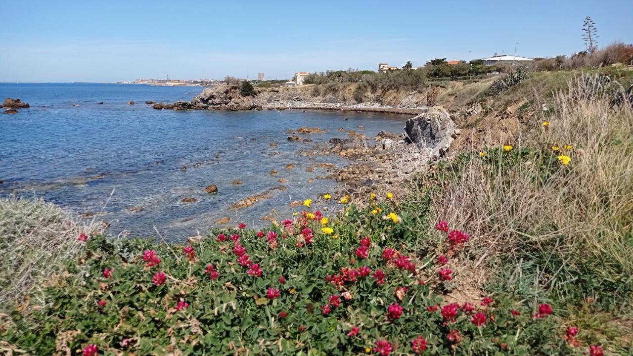 Villetta La Gabbianella Livorno Eksteriør billede
